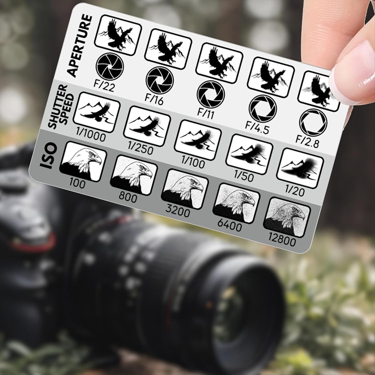 Photography Triangle - L77A 2 Adet DSLR Fotoğrafçılık Kompozisyonu