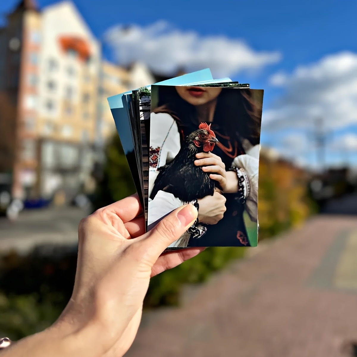 1/3/6 Adet Mevcut, Kişiselleşt - Photography Website incelemesi ve fiyatı